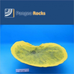 5010m-43x32x15cm-1,450g-Pangea Rocks