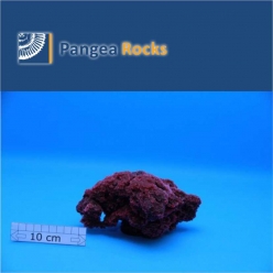 4850m-18x13x8cm-610g-Pangea Rocks