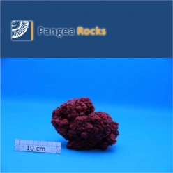 4810m-15x11x9cm-470g-Pangea Rocks