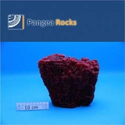 4800m-19x16x10cm-1,380g-Pangea Rocks