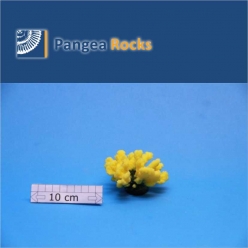 4650m-10x8x6cm-90g-Pangea Rocks