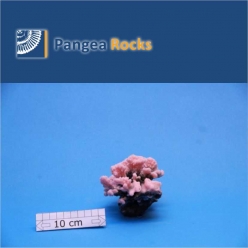 4620m-11x9x8cm-170g-Pangea Rocks