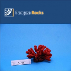 4610m-12x9x8cm-170g-Pangea Rocks