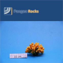 4605m-9x9x6cm-120g-Pangea Rocks