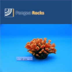 4600m-20x16x11cm-750g-Pangea Rocks