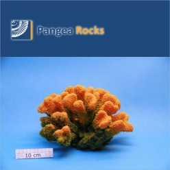 4590m-27x24x15cm-1,900g-Pangea Rocks