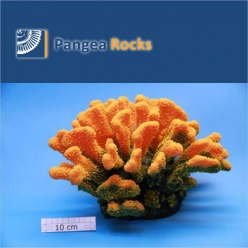 4580m-33x27x22cm-3,300g-Pangea Rocks