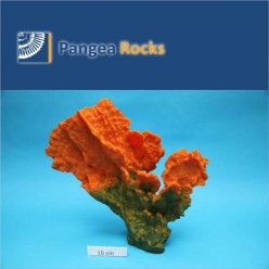 4510m-40x37x10cm-2,300g-Pangea Rocks