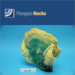 4400m-25x25x5cm-900g-Pangea Rocks