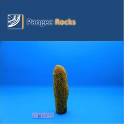 4330m-22x7x5cm-530g-Pangea Rocks