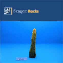 4310m-26x6x7cm-400g-Pangea Rocks