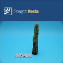 4300m-21x4x4cm-140g-Pangea Rocks