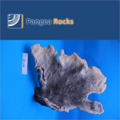 4270m-51x34x13cm-1,800g-Pangea Rocks
