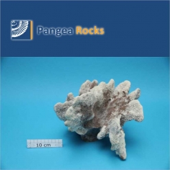 4250m-25x24x20cm-2,100g-Pangea Rocks