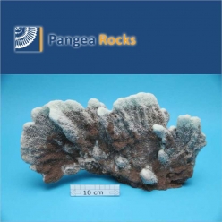 4240m-37x20x12cm-1,800g-Pangea Rocks