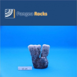 4220m-17x15x4cm-640g-Pangea Rocks