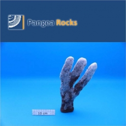 4200m-22x14x4cm-530g-Pangea Rocks