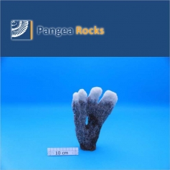 4190m-19x14x4cm-440g-Pangea Rocks