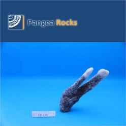 4180m-25x8x4cm-420g-Pangea Rocks