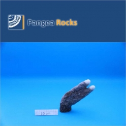 4170m-19x7x4cm-280g-Pangea Rocks