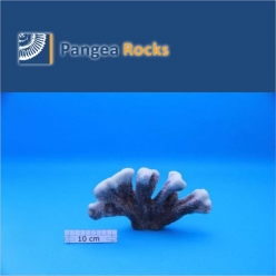 4150m-23x14x9cm-430g-Pangea Rocks