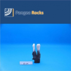 4140m-15x7x3cm-170g-Pangea Rocks