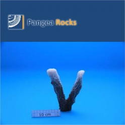 4130m-17x11x4cm-190g-Pangea Rocks