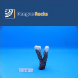 4120m-18x12x5cm-270g-Pangea Rocks