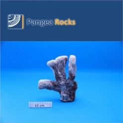 4110m-20x18x5cm-500g-Pangea Rocks