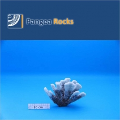 4100m-18x13x7cm-290g-Pangea Rocks