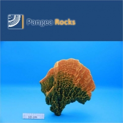 4000m-28x24x10cm-900g-Pangea Rocks
