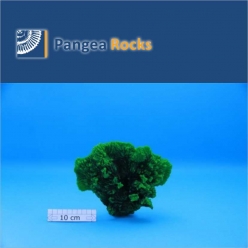 3630m-25x10x5cm-200g-Pangea Rocks