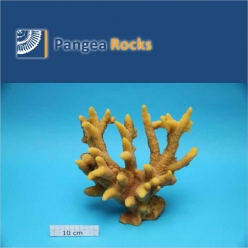 3510m-27x27x11cm-1,045g-Pangea Rocks