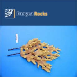 3500m-47x32x15cm-3,400g-Pangea Rocks