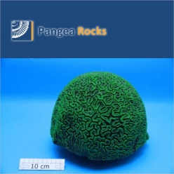 2950m-25x25x25cm-6,500g-Pangea Rocks