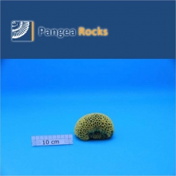 2940m-10x9x6cm-290g-Pangea Rocks