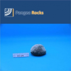 2920m-10x9x6cm-290g-Pangea Rocks