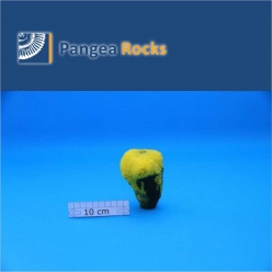 2900m-10x7x5cm-230g-Pangea Rocks