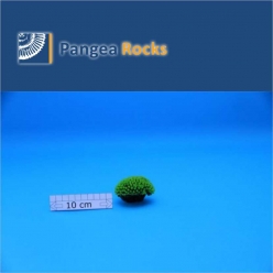 2820m-6x5x3cm-50g-Pangea Rocks