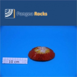 2690m-11x10x4cm-180g-Pangea Rocks