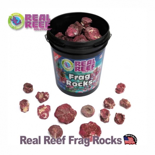 리얼 리프 프랙 락-약3.8Kg 200개-RRFR-Real Reef