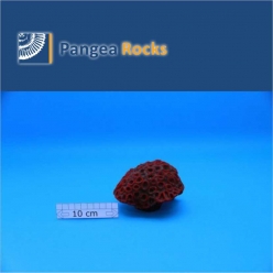 2510m-12x11x8cm-400g-Pangea Rocks
