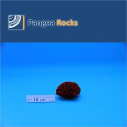 2500m-9x8x6cm-190g-Pangea Rocks