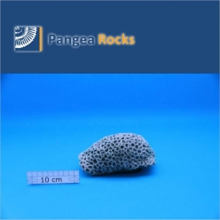 2410m-16x10x8cm-700g-Pangea Rocks