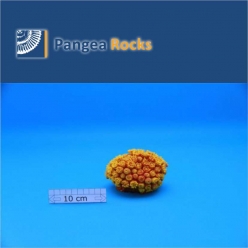 2340m-10x10x10cm-380g-Pangea Rocks