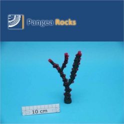 2310m-15x10x2cm-75g-Pangea Rocks