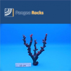 2300m-20x10x10cm-140g-Pangea Rocks