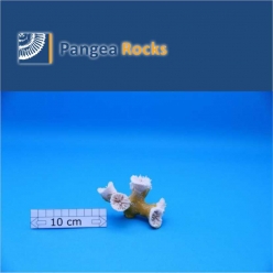 2200m-10x9x6cm-150g-Pangea Rocks