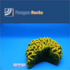 2110m-30x27x20cm-4,400g-Pangea Rocks