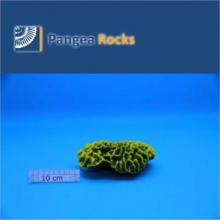 2100m-16x11x8cm-400g-Pangea Rocks
